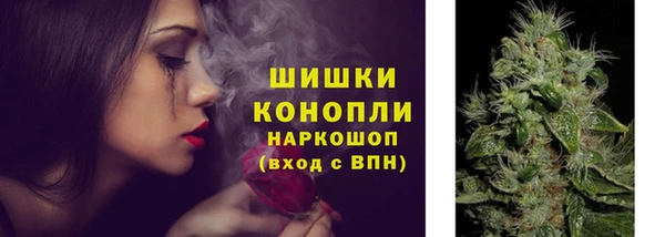 хмурый Липки