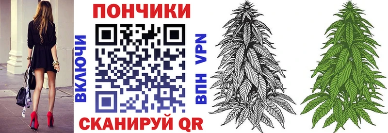 наркошоп Лесной Шишки марихуана марихуана